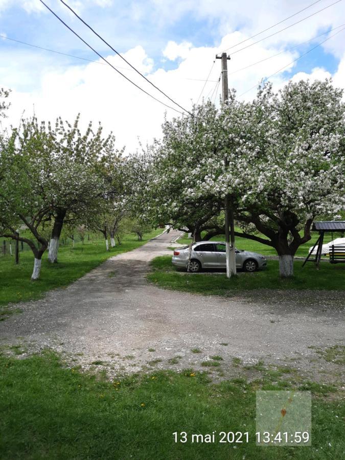 Pensiunea Mir Bran  Esterno foto