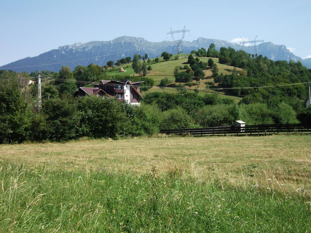 Pensiunea Mir Bran  Esterno foto